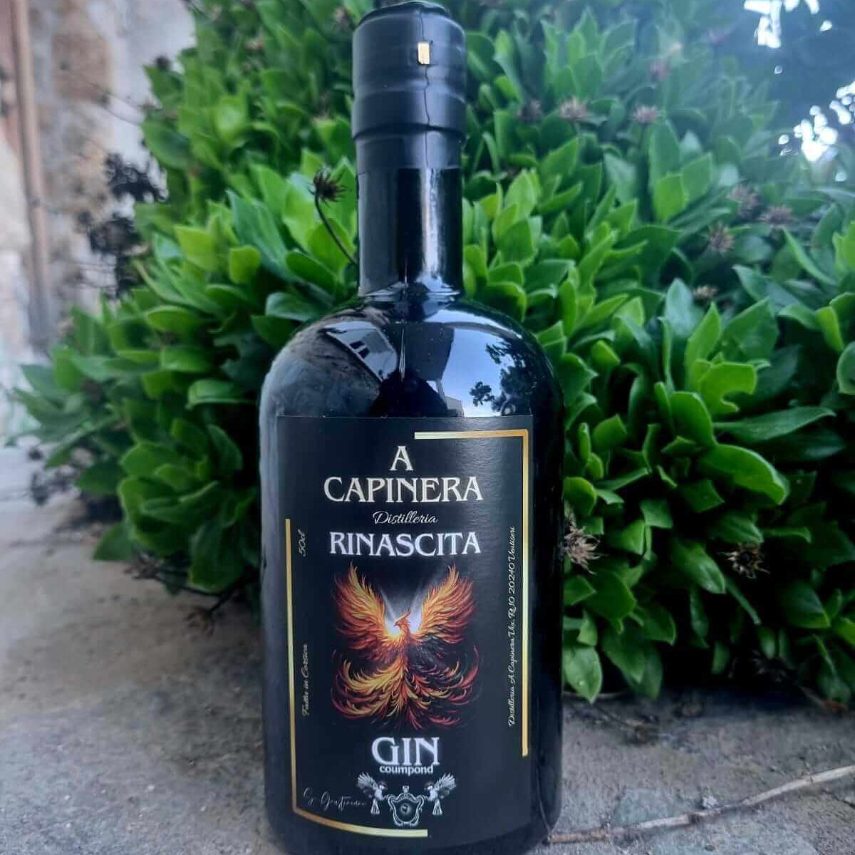 Sébastien Giustiniani