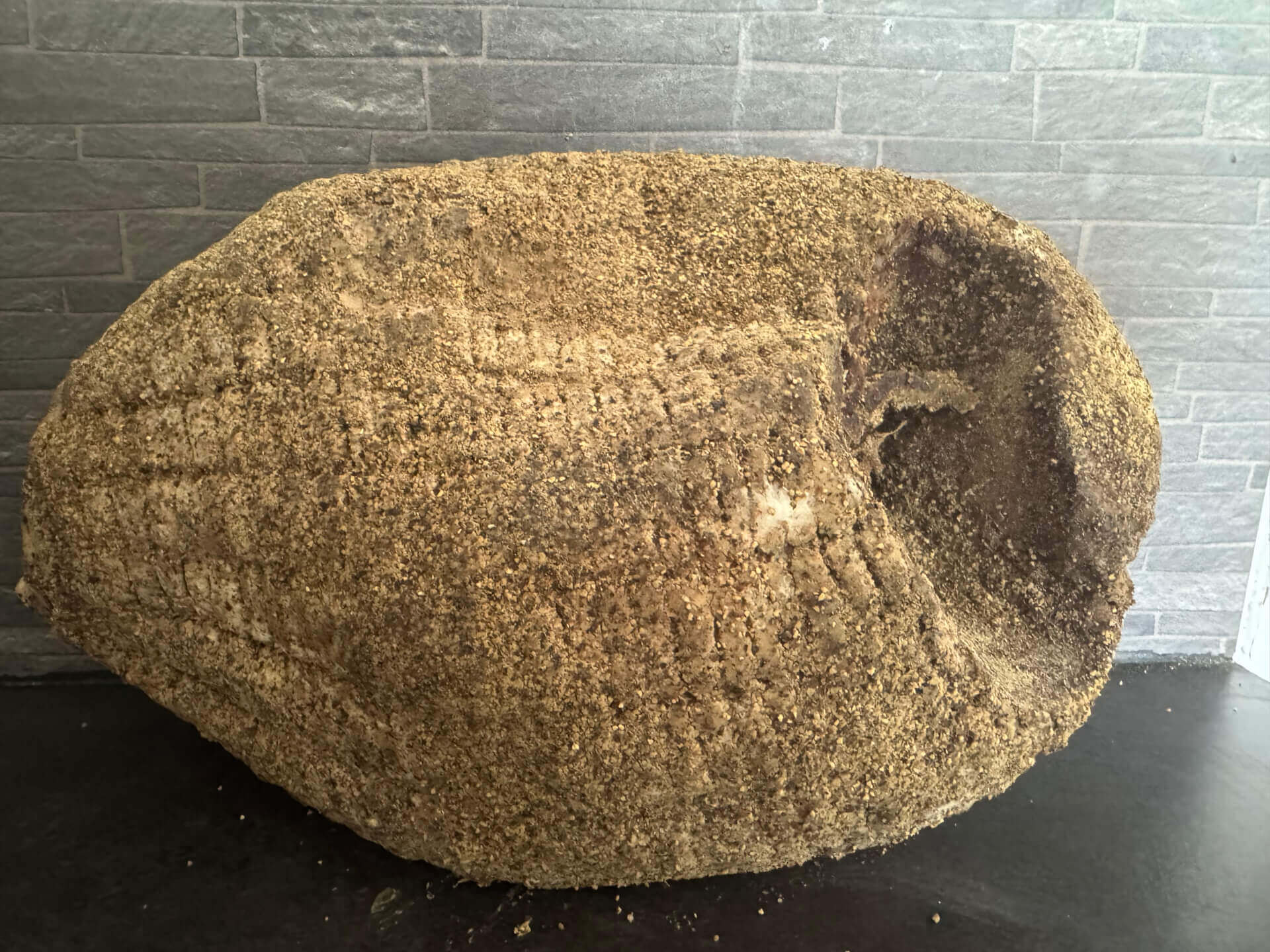 CUSCIUTTELLU (noix de jbon av/couenne)