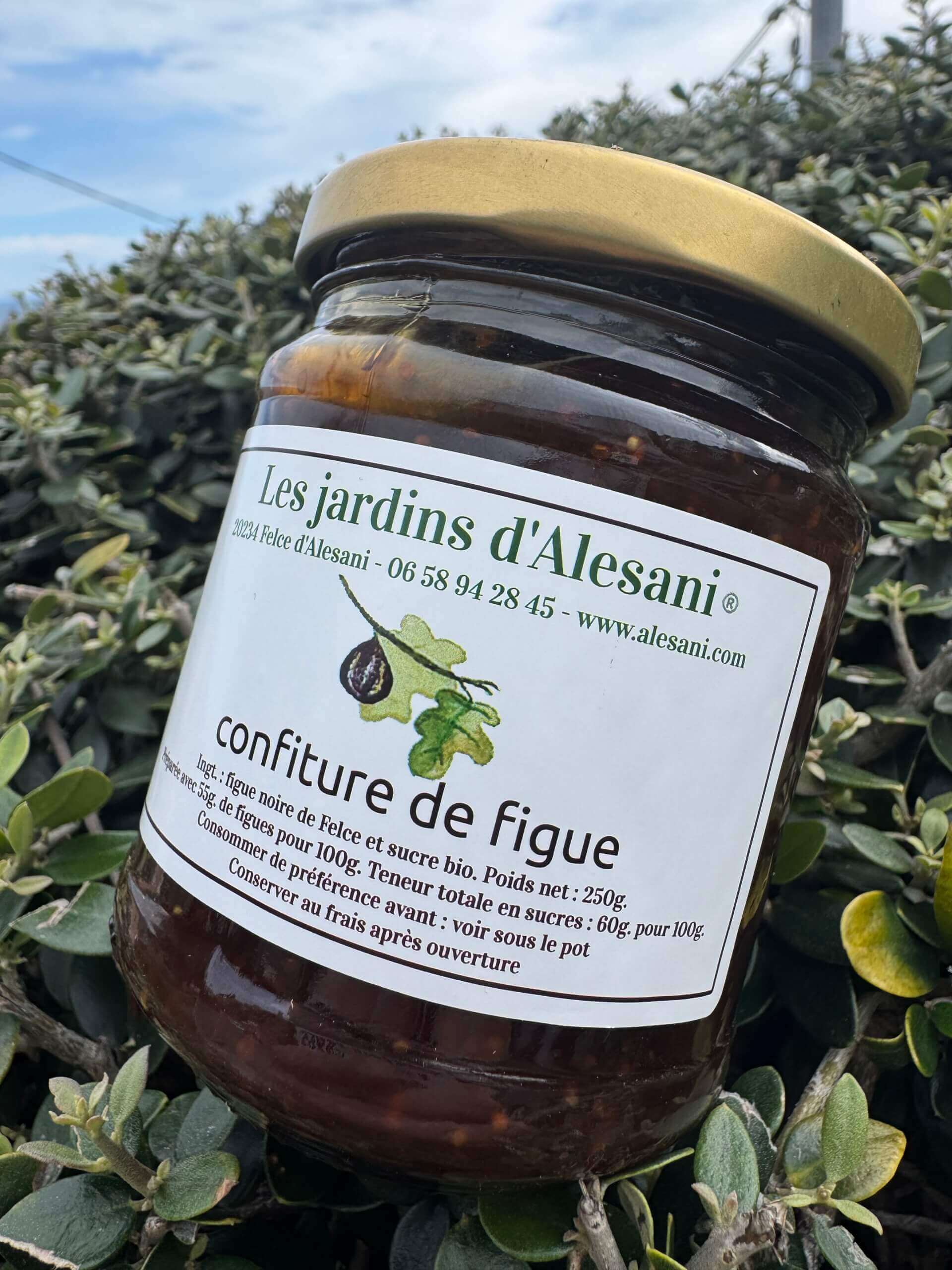 CONFITURE DE FIGUE JARDIN D ALESANI