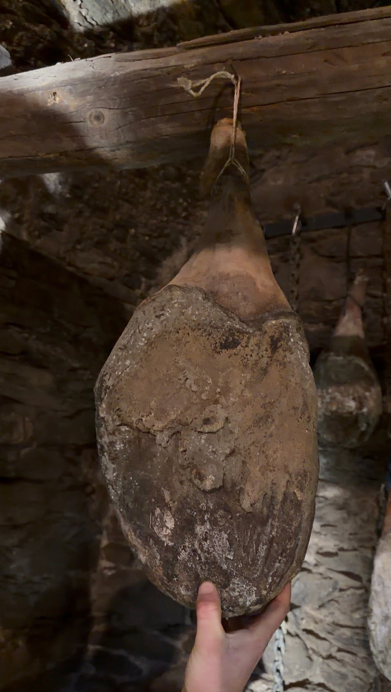 prisuttu  AOP Camille Belgodere