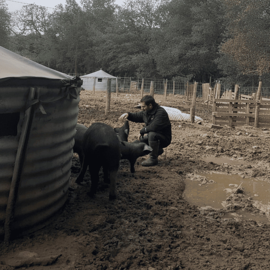 Le Trio Corsé : 3 Saucisses, 3 Maîtres du Goût